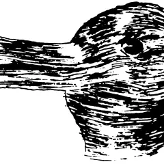 Un disegno stilizzato di un volto di animale, forse un coniglio o un uccello, che sembra vedere in bianco e nero.
