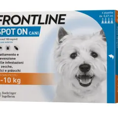 Frontline Spot On per cani: scopri come mettere la pipetta per proteggere il tuo amico a quattro zampe da zecche e pulci.