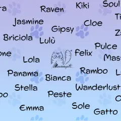 Un elenco di nomi per gatti, tra cui Gatta, Raven, Kiki, Soul, Jasmine, Elvis, Briciola, Lola, Felix, Rambo, Lana, Oscar e Gatto.