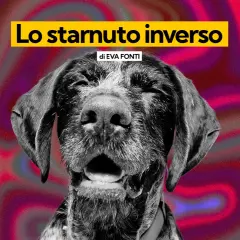 Un cane con espressione buffa, forse per uno starnuto inverso, su uno sfondo psichedelico rosa e viola.