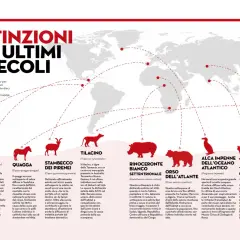 Le estinzioni di razze animali negli ultimi due secoli: testuggine, rospo, quagga, stambecco, tilacino, rinoceronte, orso, alca, tigre, lipote.