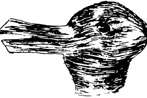Un disegno stilizzato di un volto di animale, forse un coniglio o un uccello, che sembra vedere in bianco e nero.