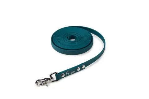 Una lunghina per cane in materiale resistente, arrotolata e con moschettone.