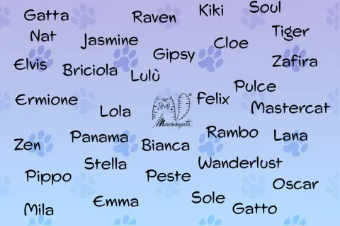 Un elenco di nomi per gatti, tra cui Gatta, Raven, Kiki, Soul, Jasmine, Elvis, Briciola, Lola, Felix, Rambo, Lana, Oscar e Gatto.