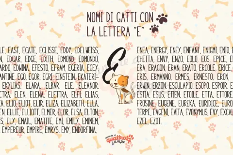 Nomi per gatti maschi 4 lettere e non solo, con la lettera "E". Trova il nome perfetto per il tuo micio tra le tante opzioni.
