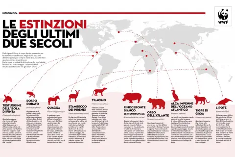 Le estinzioni di razze animali negli ultimi due secoli: testuggine, rospo, quagga, stambecco, tilacino, rinoceronte, orso, alca, tigre, lipote.