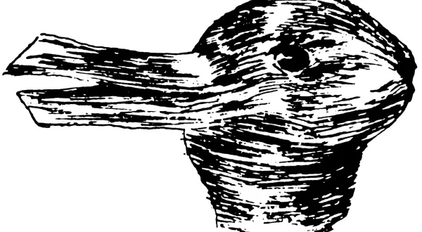 Un disegno stilizzato di un volto di animale, forse un coniglio o un uccello, che sembra vedere in bianco e nero.