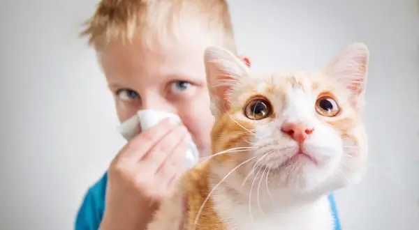 Bambino con allergia ai gatti si soffia il naso vicino al suo gatto arancione.
