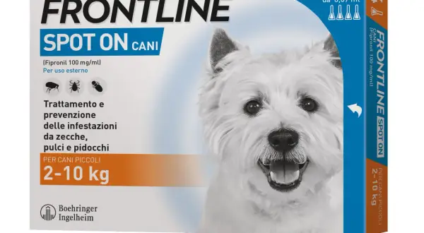 Frontline Spot On per cani: scopri come mettere la pipetta per proteggere il tuo amico a quattro zampe da zecche e pulci.