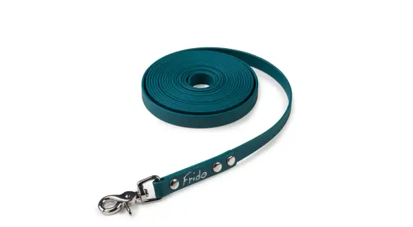 Una lunghina per cane in materiale resistente, arrotolata e con moschettone.