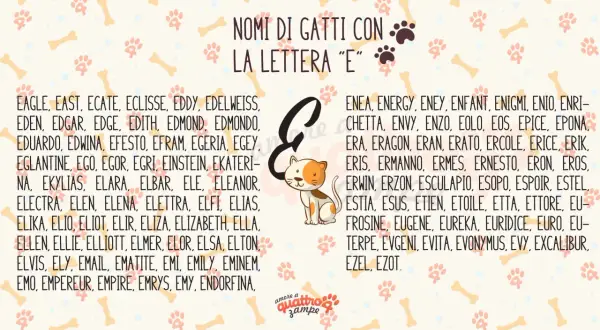 Nomi per gatti maschi 4 lettere e non solo, con la lettera "E". Trova il nome perfetto per il tuo micio tra le tante opzioni.