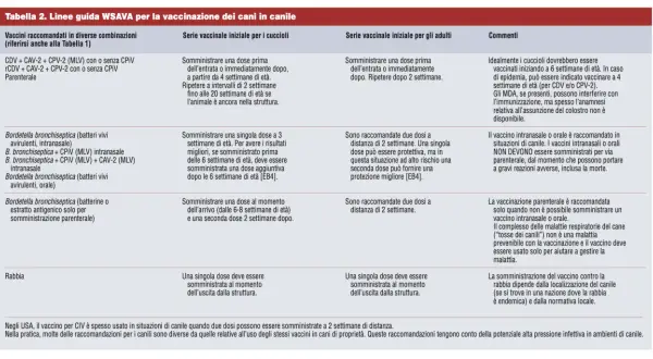 Guida vaccinazioni cani: cuccioli da 4 settimane, adulti da 6 settimane. Vaccini raccomandati per diverse età.