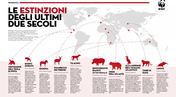 Le estinzioni di razze animali negli ultimi due secoli: testuggine, rospo, quagga, stambecco, tilacino, rinoceronte, orso, alca, tigre, lipote.