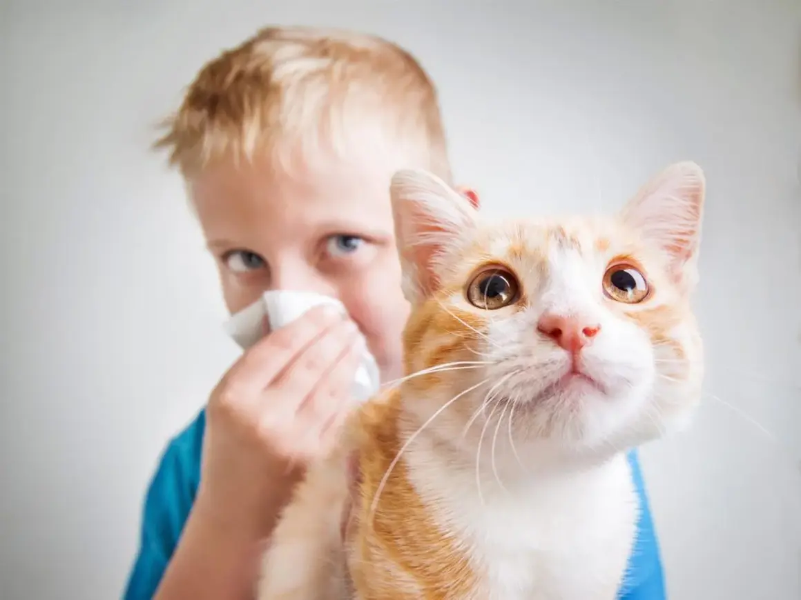 Bambino con allergia ai gatti si soffia il naso vicino al suo gatto arancione.