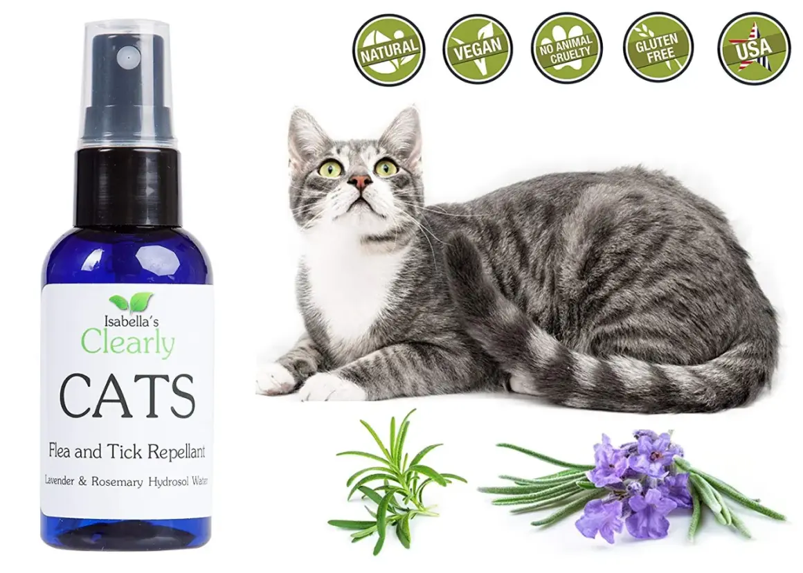 Spray antipulci fai da te per gatti, con ingredienti naturali come lavanda e rosmarino. Sicuro e cruelty-free.