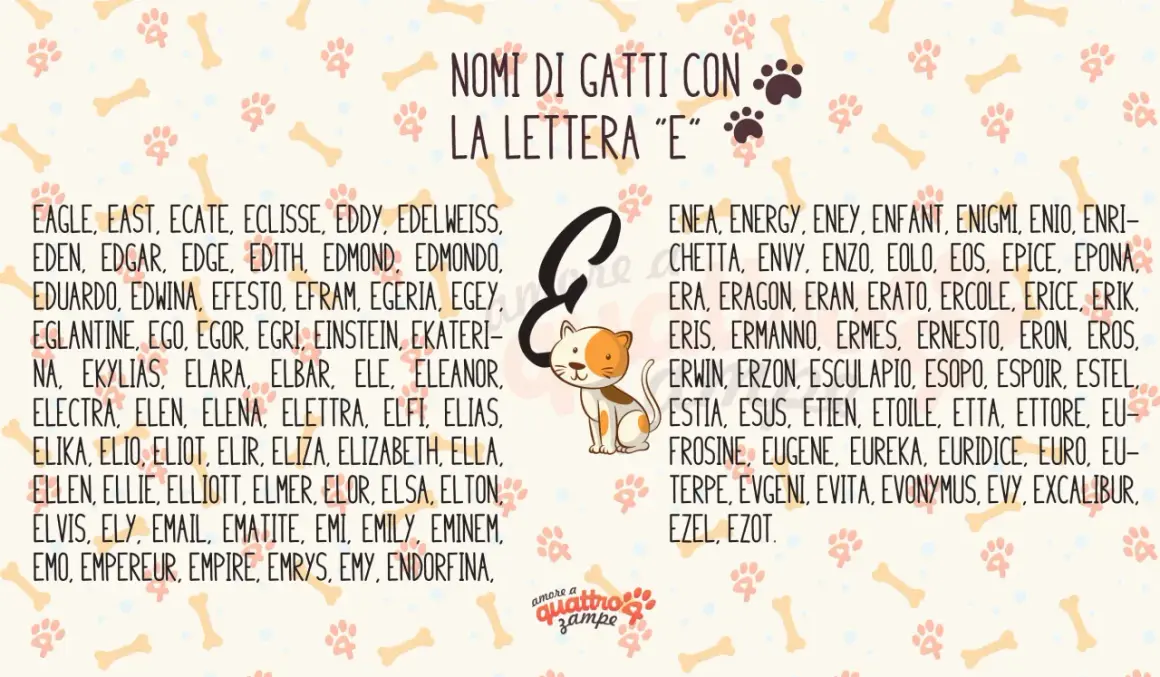 Nomi per gatti maschi 4 lettere e non solo, con la lettera "E". Trova il nome perfetto per il tuo micio tra le tante opzioni.