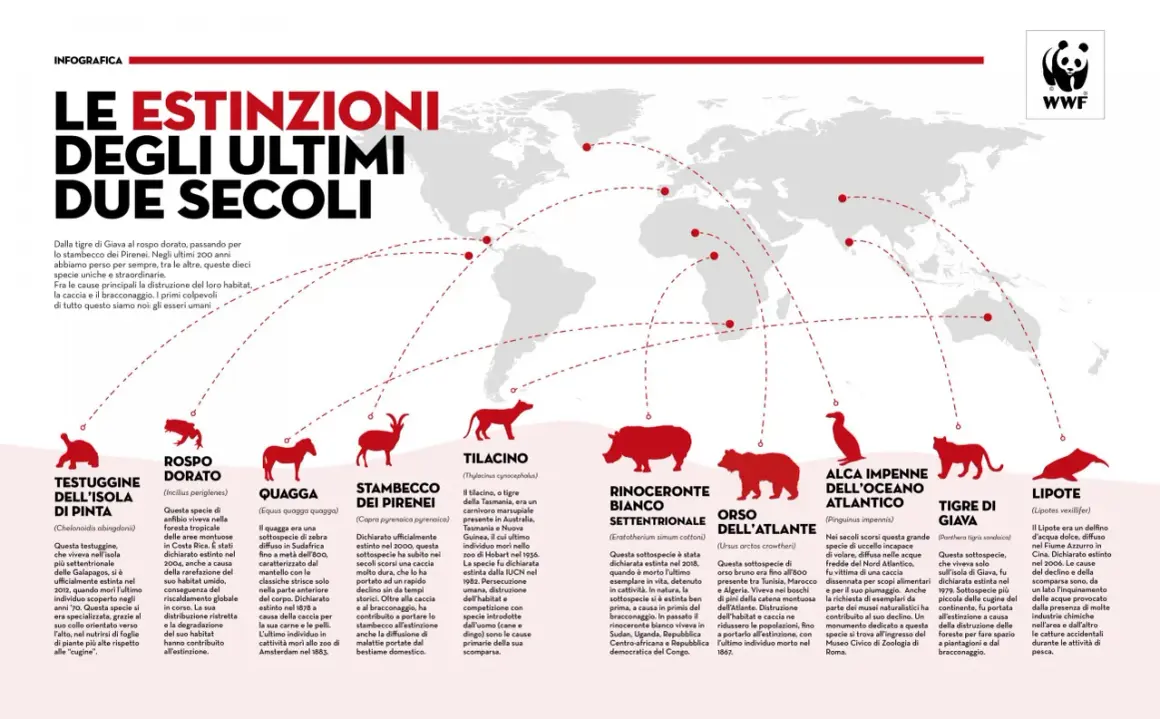 Le estinzioni di razze animali negli ultimi due secoli: testuggine, rospo, quagga, stambecco, tilacino, rinoceronte, orso, alca, tigre, lipote.