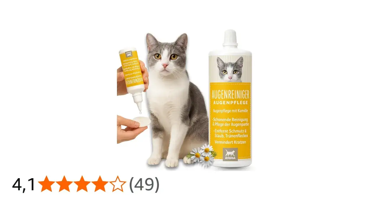 Gatto grigio e bianco accanto a flaconi di detergente per occhi. Impara come pulire gli occhi al gatto con questo prodotto delicato.