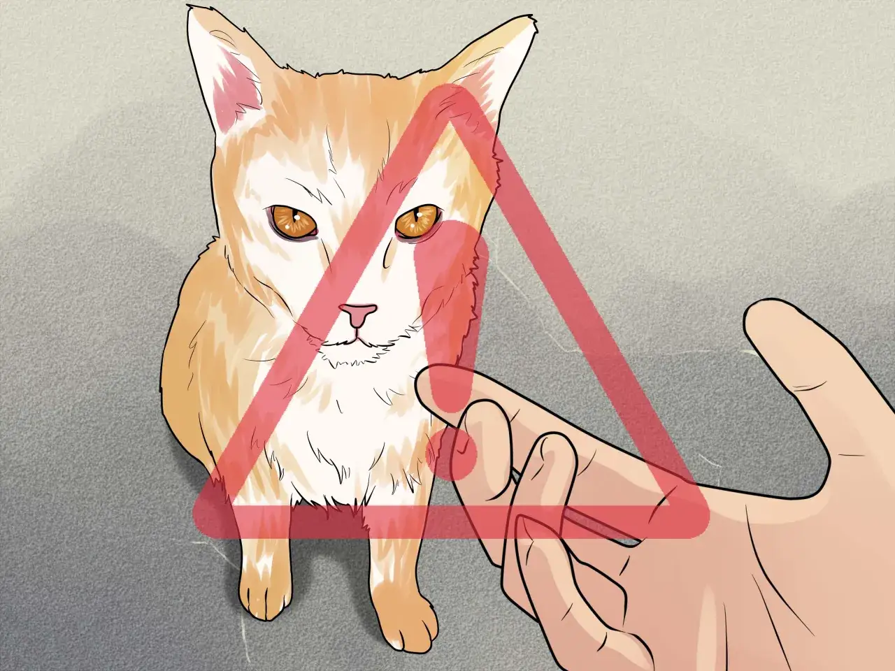 Gatto arancione con un triangolo rosso sopra, una mano si avvicina. Attenzione al morso gatto!