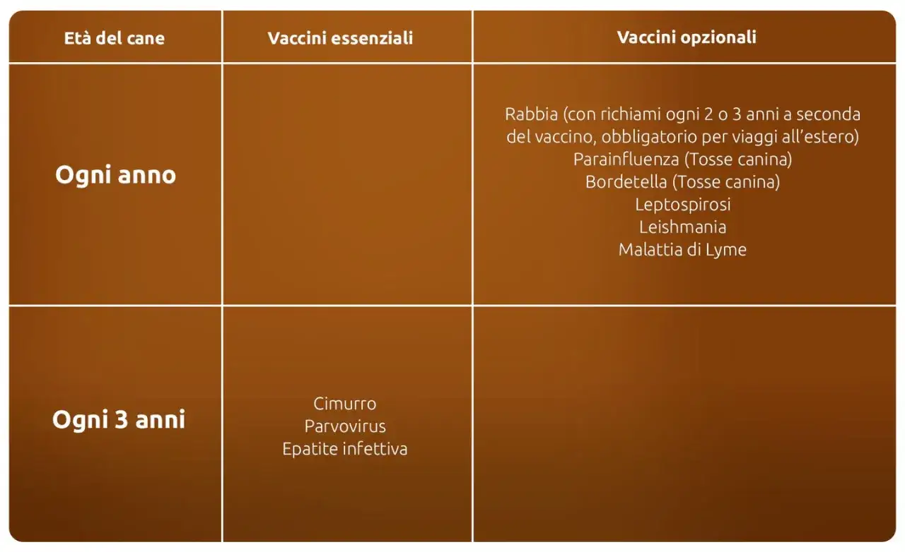 Tabella vaccinazioni cani: annuali e ogni 3 anni, con vaccini essenziali e opzionali per la salute del cane.