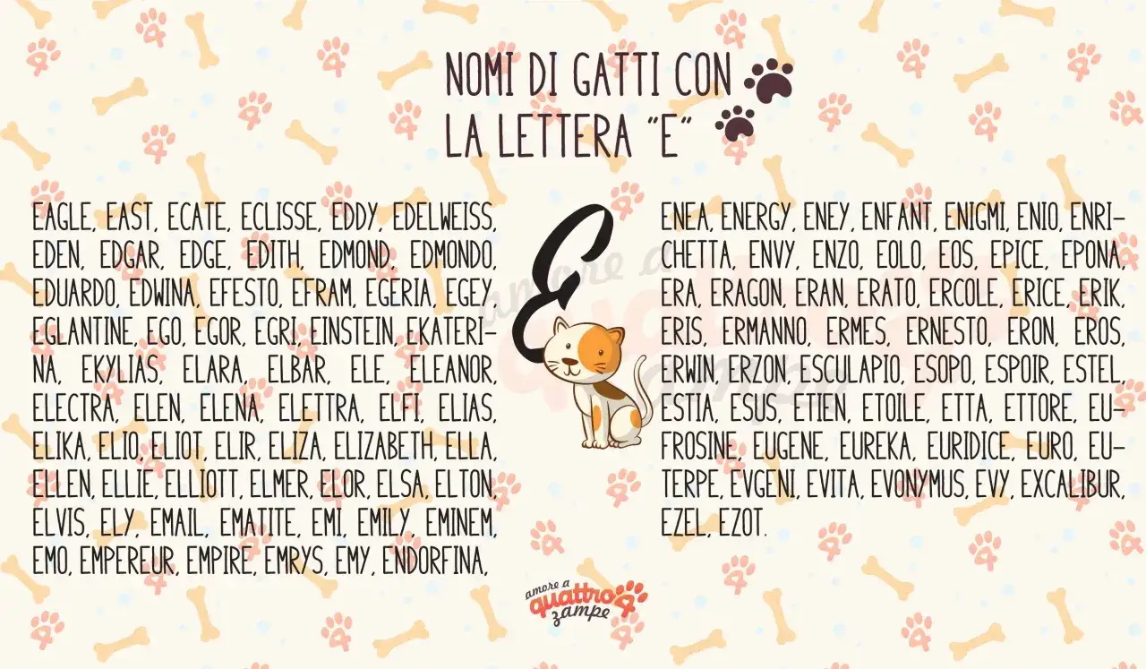 Nomi per gatti maschi 4 lettere che iniziano con la 