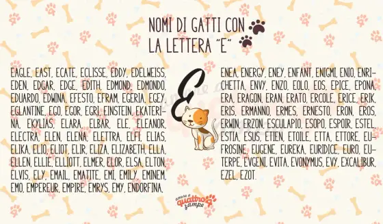 Nomi gatto maschio - 4 lettere: la scelta pratica e giusta