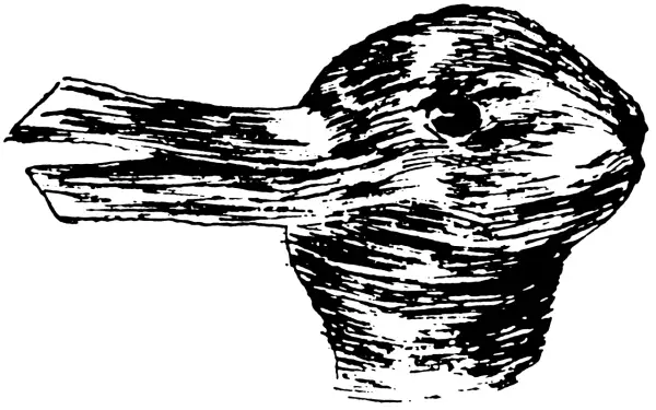 Un disegno stilizzato di un volto di animale, forse un coniglio o un uccello, che sembra vedere in bianco e nero.