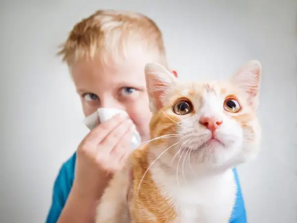 Bambino con allergia ai gatti si soffia il naso vicino al suo gatto arancione.
