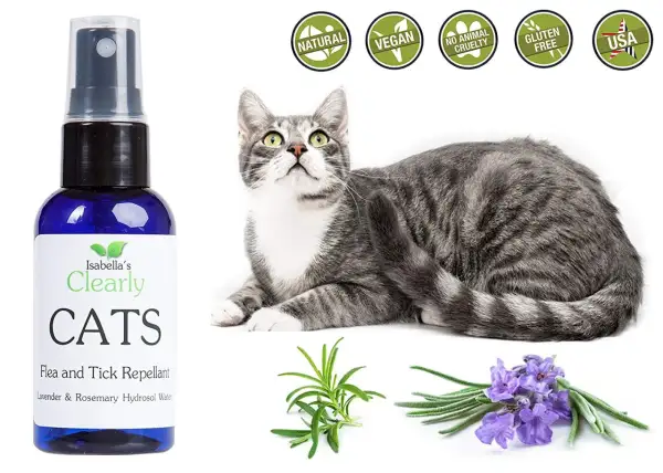 Spray antipulci fai da te per gatti, con ingredienti naturali come lavanda e rosmarino. Sicuro e cruelty-free.