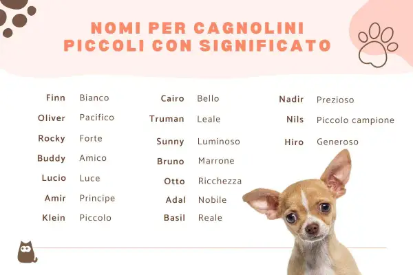 Lista di nomi per cani maschi con significato: Finn (Bianco), Oliver (Pacifico), Rocky (Forte), Buddy (Amico), Cairo (Bello), Truman (Leale), Sunny (Luminoso), Bruno (Marrone), Otto (Ricchezza), Nadir (Prezioso), Nils (Piccolo campione), Hiro (Generoso).