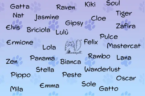 Un elenco di nomi per gatti, tra cui Gatta, Raven, Kiki, Soul, Jasmine, Elvis, Briciola, Lola, Felix, Rambo, Lana, Oscar e Gatto.