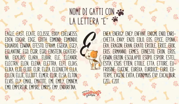 Nomi per gatti maschi 4 lettere e non solo, con la lettera "E". Trova il nome perfetto per il tuo micio tra le tante opzioni.