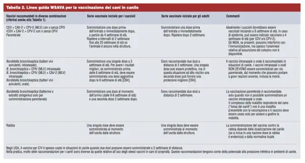 Guida vaccinazioni cani: cuccioli da 4 settimane, adulti da 6 settimane. Vaccini raccomandati per diverse età.