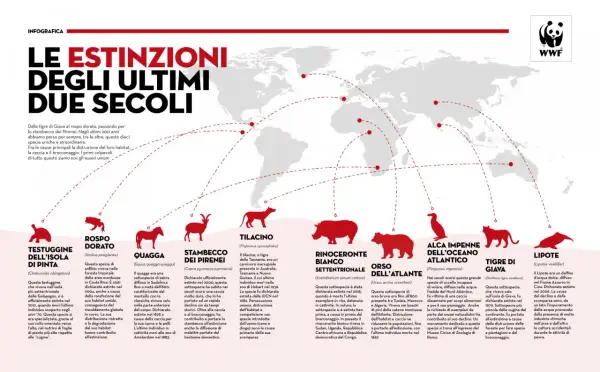 Le estinzioni di razze animali negli ultimi due secoli: testuggine, rospo, quagga, stambecco, tilacino, rinoceronte, orso, alca, tigre, lipote.